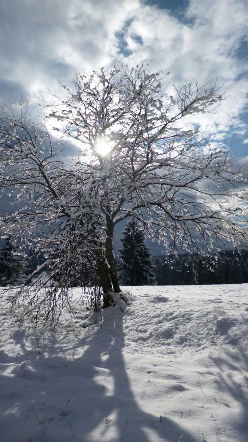 Ferienhaus Lyhs Fehrenbach Bagian luar foto
