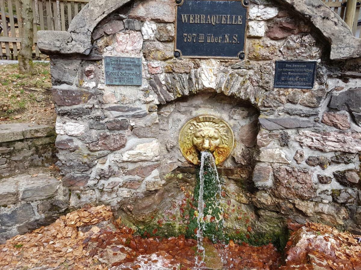 Ferienhaus Lyhs Fehrenbach Bagian luar foto