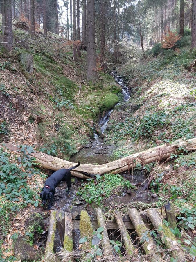 Ferienhaus Lyhs Fehrenbach Bagian luar foto