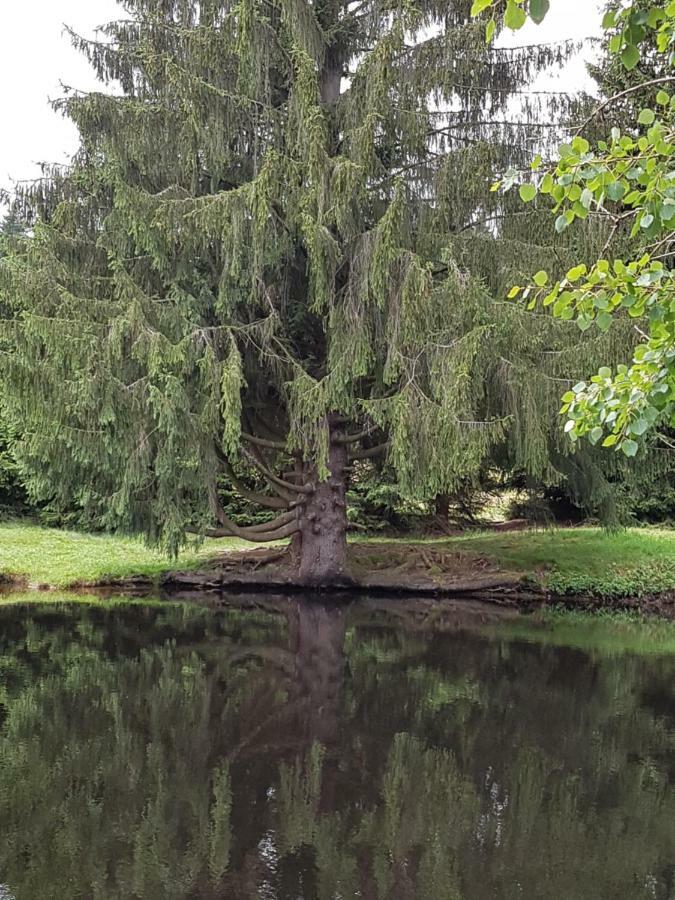 Ferienhaus Lyhs Fehrenbach Bagian luar foto
